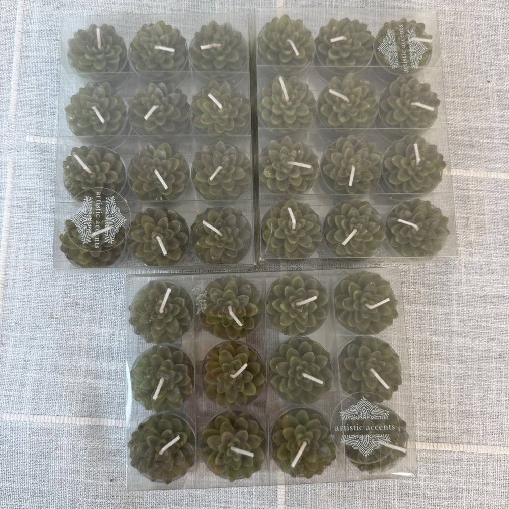 Artistic Accents Succulent Tea Light Candles 36 Count Green Cactus Decor Set